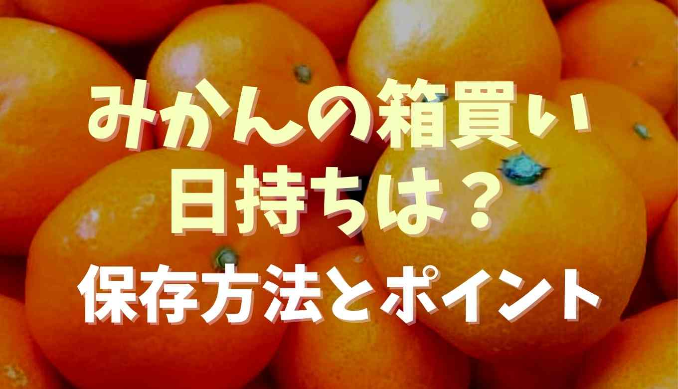みかんの箱買い日持ちはどのくらい？保存方法も紹介