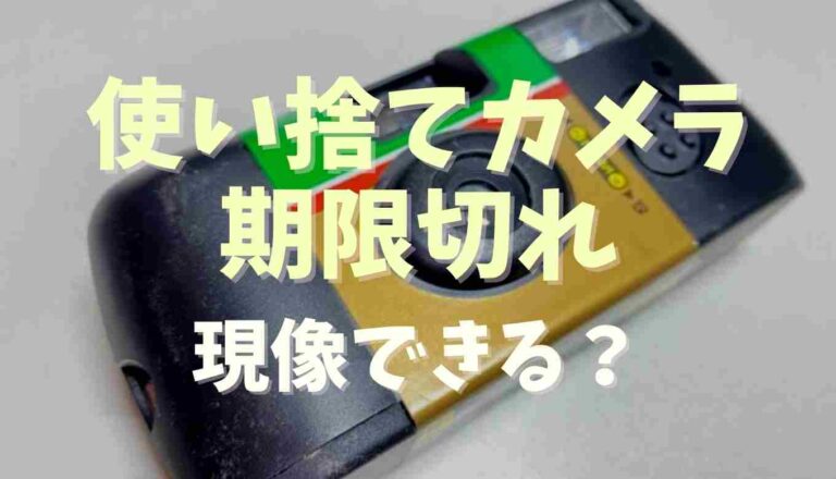 20年前の写ルンです 現像