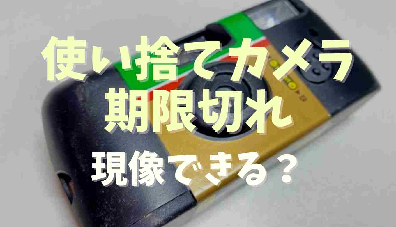 20年前の写ルンです 現像