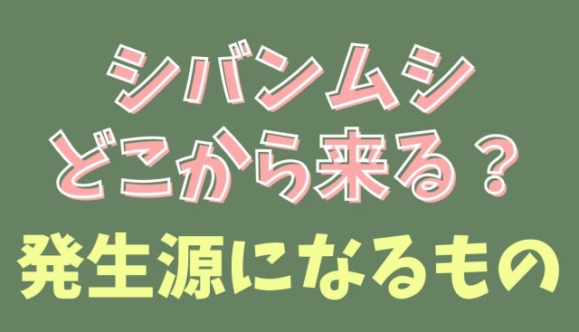 シバンムシはどこから入ってくる？シバンムシ 駆除 | 発生源になりやすいものに注意！