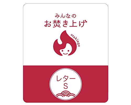 311w3wgc1kL SL500