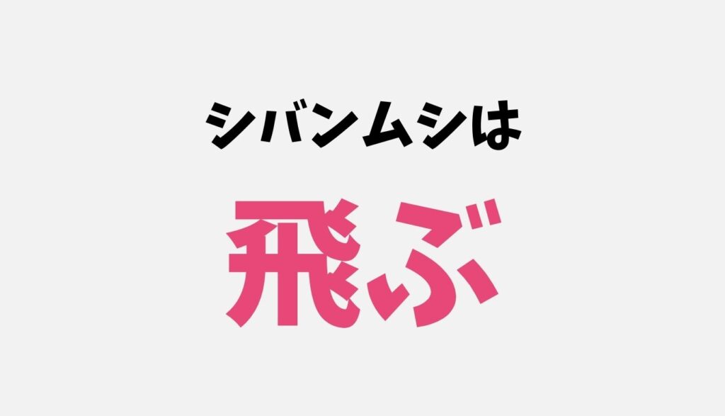 シバンムシ 発生源 わからない
