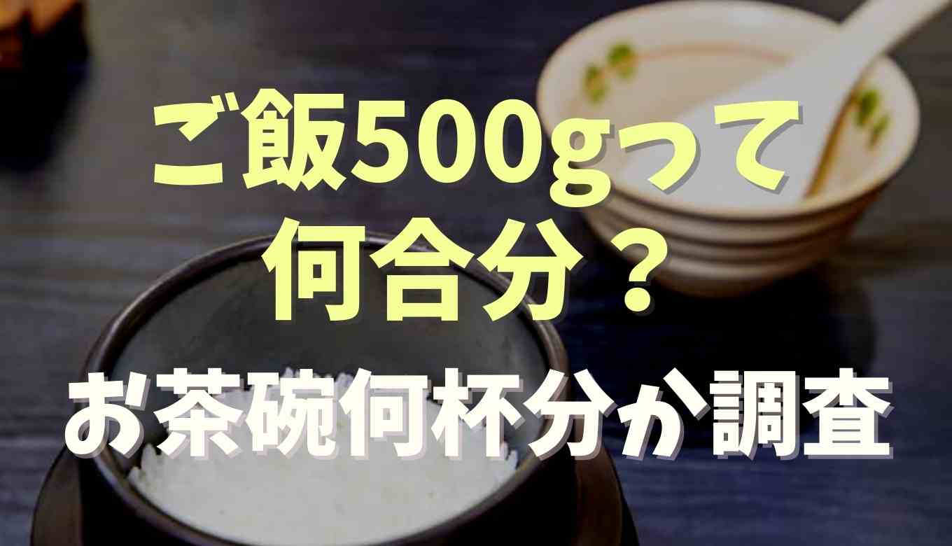 ご飯500gは何合分で何人前？お茶碗何杯分か調査