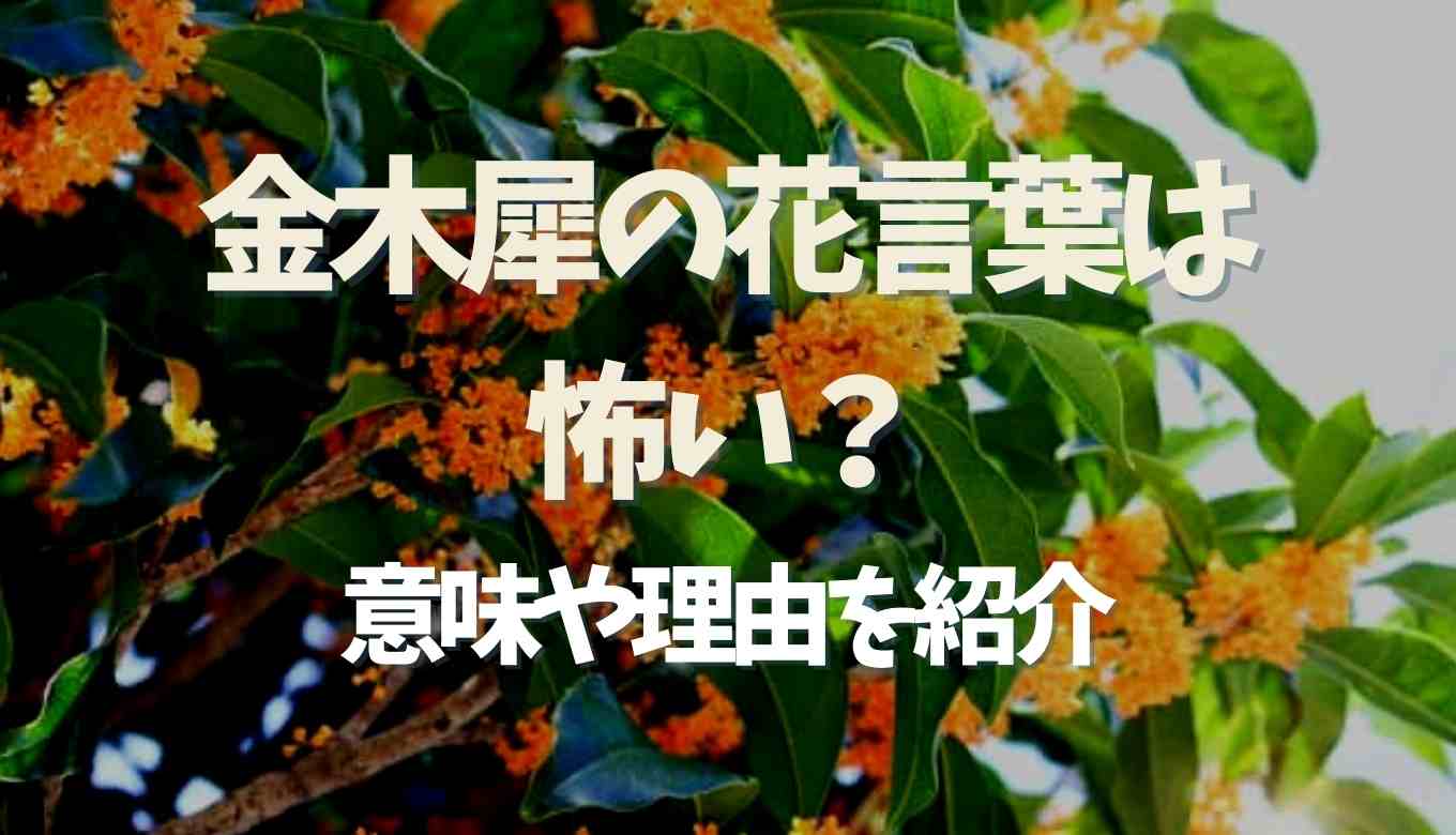 金木犀 花言葉