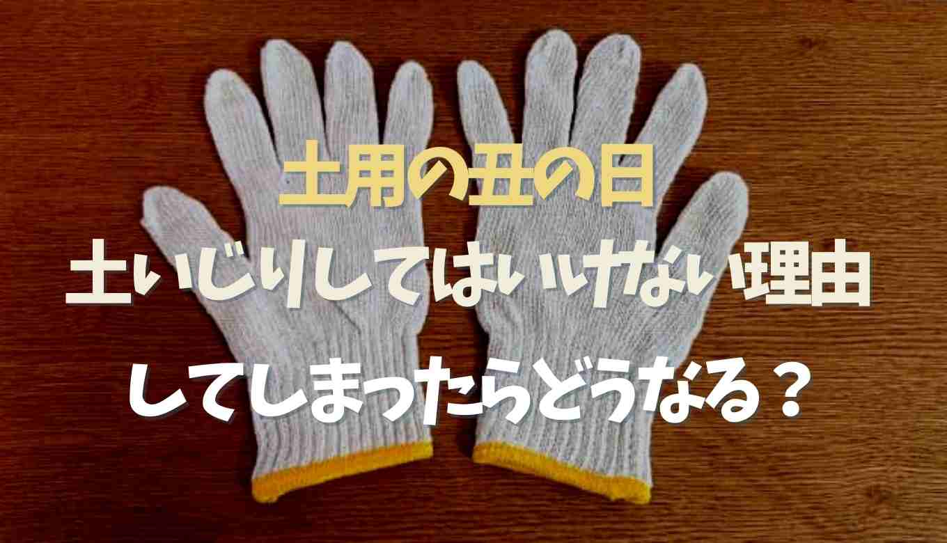 土いじりをしては いけない 日 2026