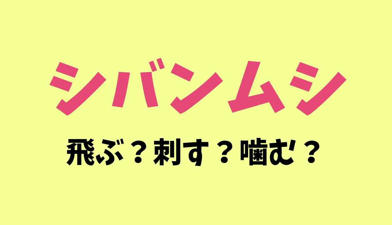 シバンムシは飛ぶし噛む？シバンムシ 発生源 わからない | 見つけたときの対処法