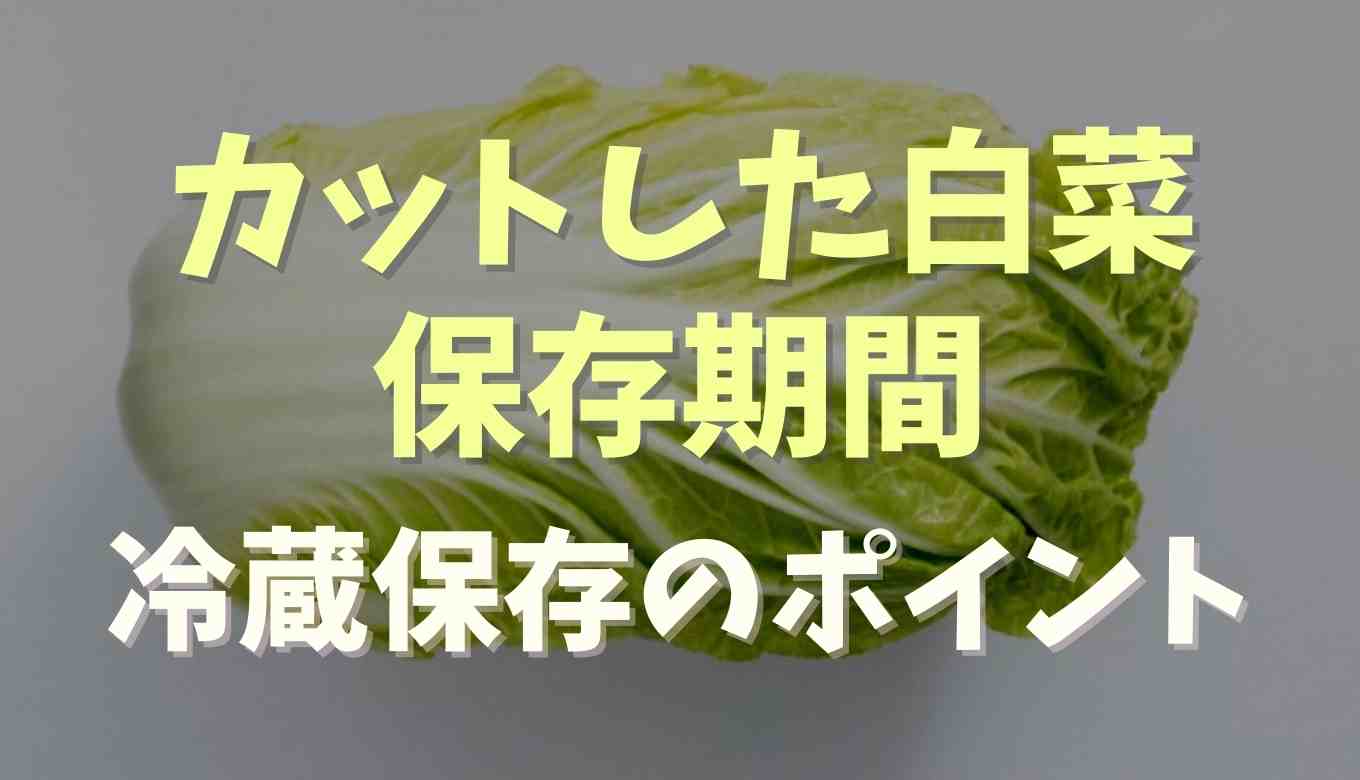 白菜はカットすると日持ちしない？冷蔵庫に保存する時のコツも紹介
