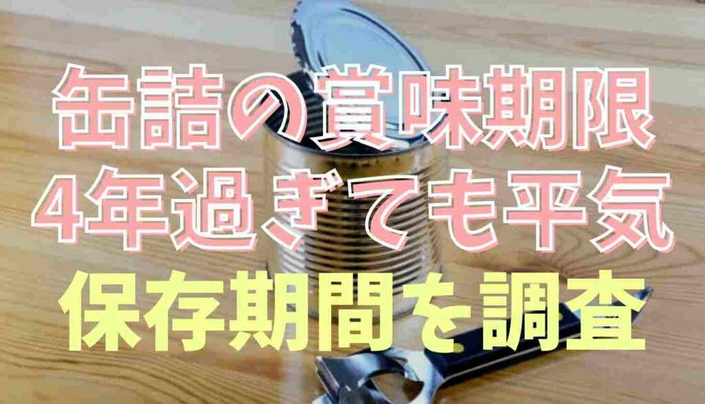 缶詰 賞味 期限切れ 10年