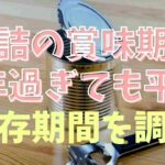 缶詰 賞味 期限切れ 10年