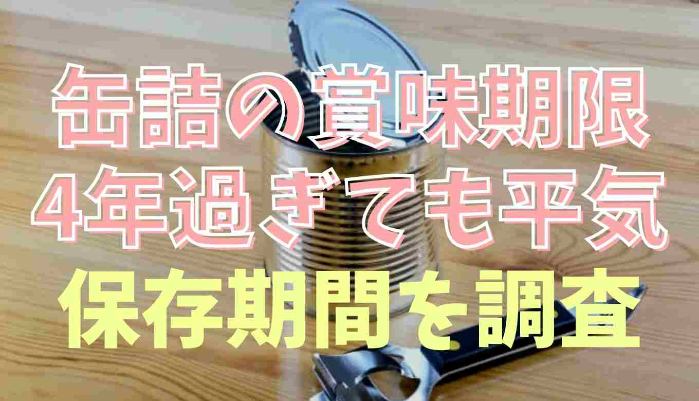 缶詰 賞味 期限切れ 10年