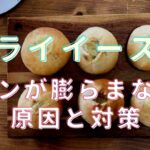 パン 発酵 膨らまない 再利用