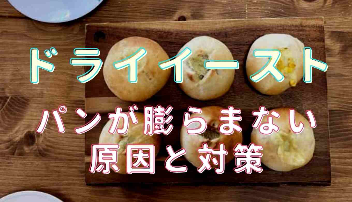 パン 発酵 膨らまない 再利用