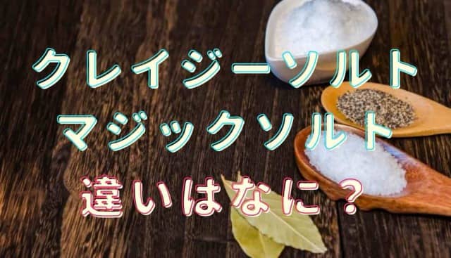 マジックソルト クレイジーソルト ほり にし