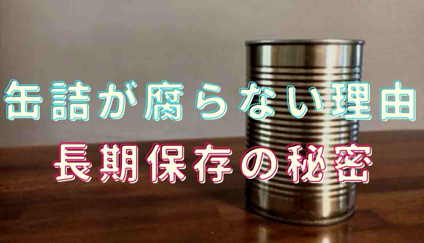 缶詰 賞味 期限切れ 10年